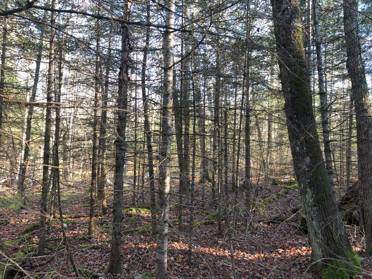 On East Bay Road, Unit LOT 7 Presque Isle, WI 54557 - Photo 13 of 29 Gallery Image 13