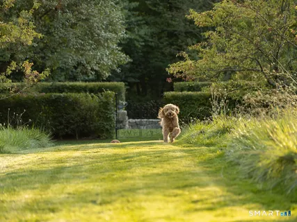 $6,895,000 | 372 Brushy Ridge Road, New Canaan, CT 06840