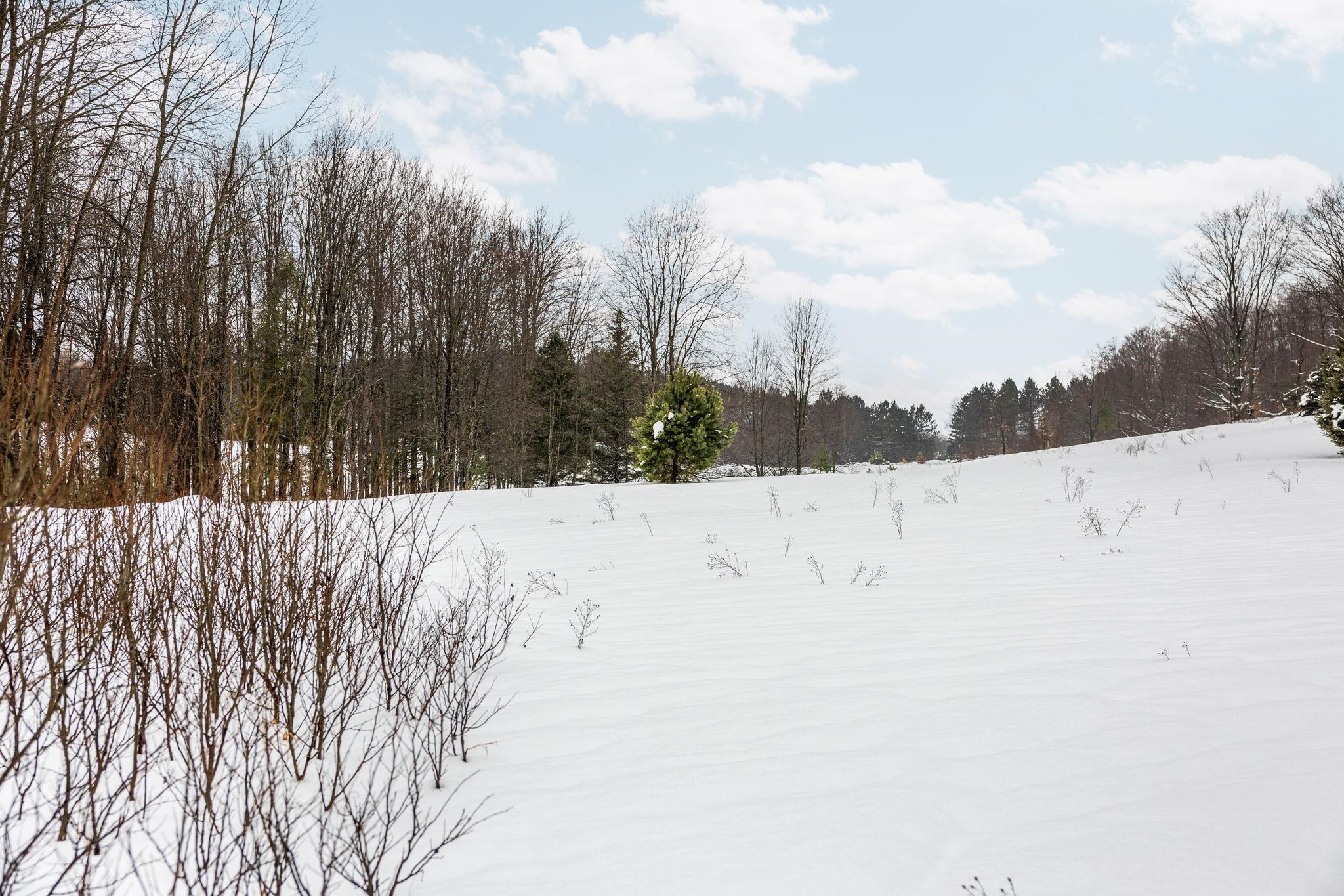 9756 Deibert Road Southwest South Boardman, MI 49680 - Photo 17 of 19 Gallery Image 17