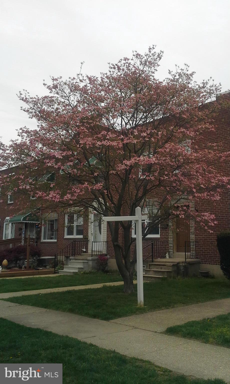 8617 Oak Road Baltimore, MD 21234 - Photo 1 of 16 a front view of a house with a yard