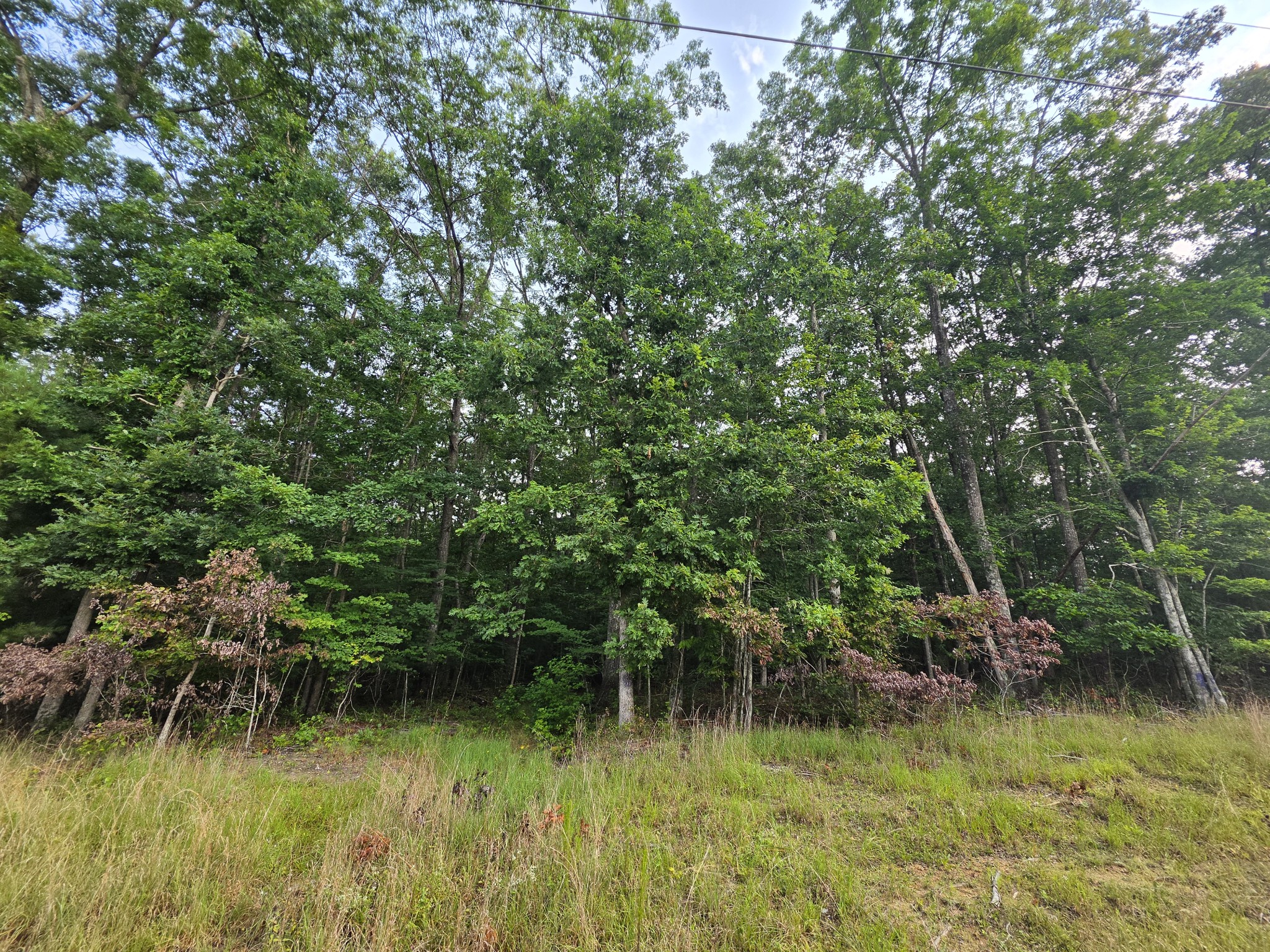 1 Adams Road Tracy City, TN 37387 - Photo 4 of 11 Gallery Image 4