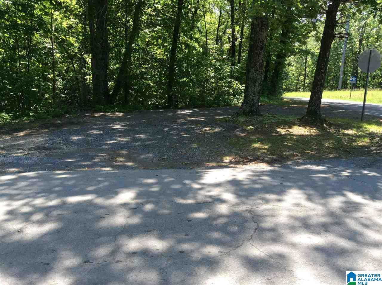 0 County Road 89, Unit 1 Mentone, AL 35984 - Photo 6 of 10