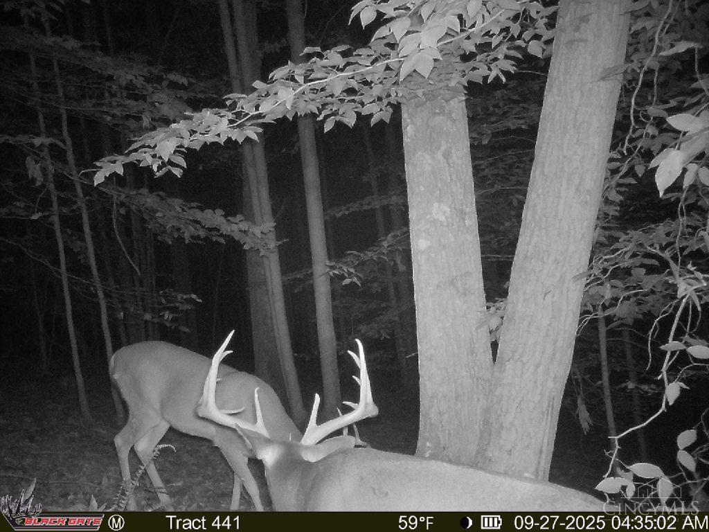 0 South Chenoweth Fork Road Piketon, OH 45661 - Photo 12 of 95