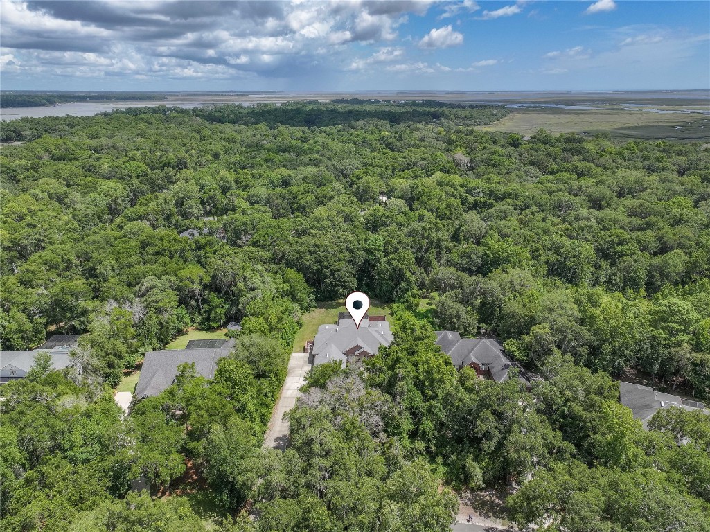 96075 High Pointe Drive Fernandina Beach, FL 32034 - Photo 39 of 42 a aerial view of a house with a yard and lake view