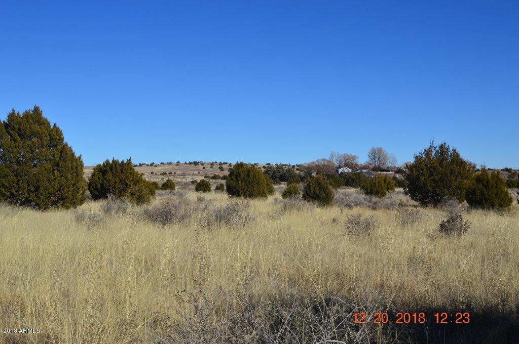 4650 Tharp Road Snowflake, AZ 85937 - Photo 4 of 20 DSC_0101