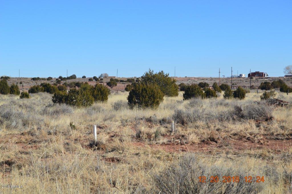 4650 Tharp Road Snowflake, AZ 85937 - Photo 5 of 20 DSC_0103