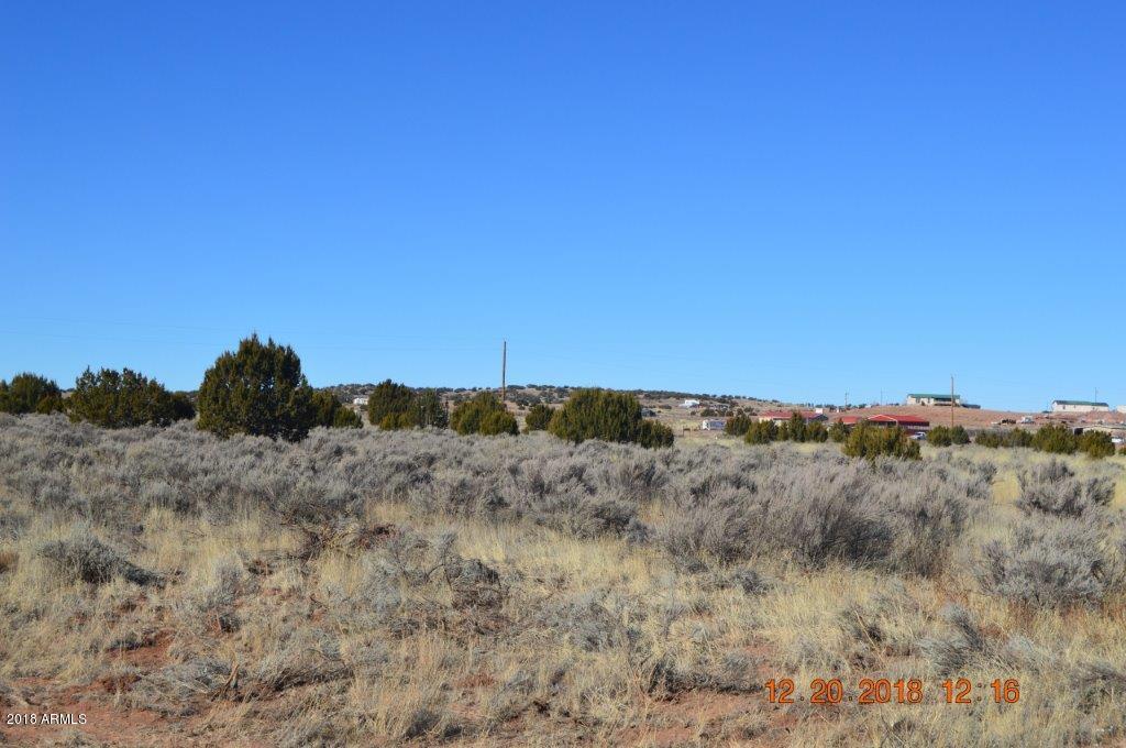 4650 Tharp Road Snowflake, AZ 85937 - Photo 8 of 20 DSC_0097