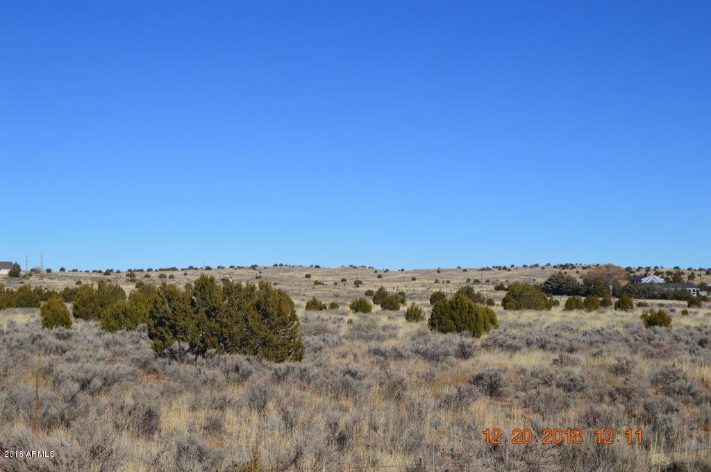 4650 Tharp Road Snowflake, AZ 85937 - Photo 9 of 20 DSC_0089