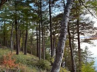 $1,649,000 | L2 Oakwood Green Lake, Markesan, WI 53946