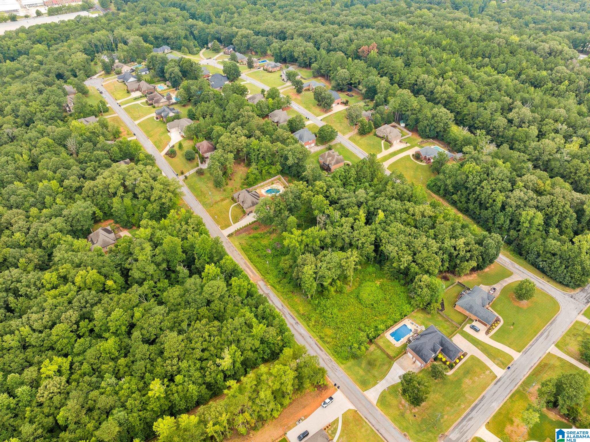 60 Highland View Drive Riverside, AL 35135 - Photo 73 of 77