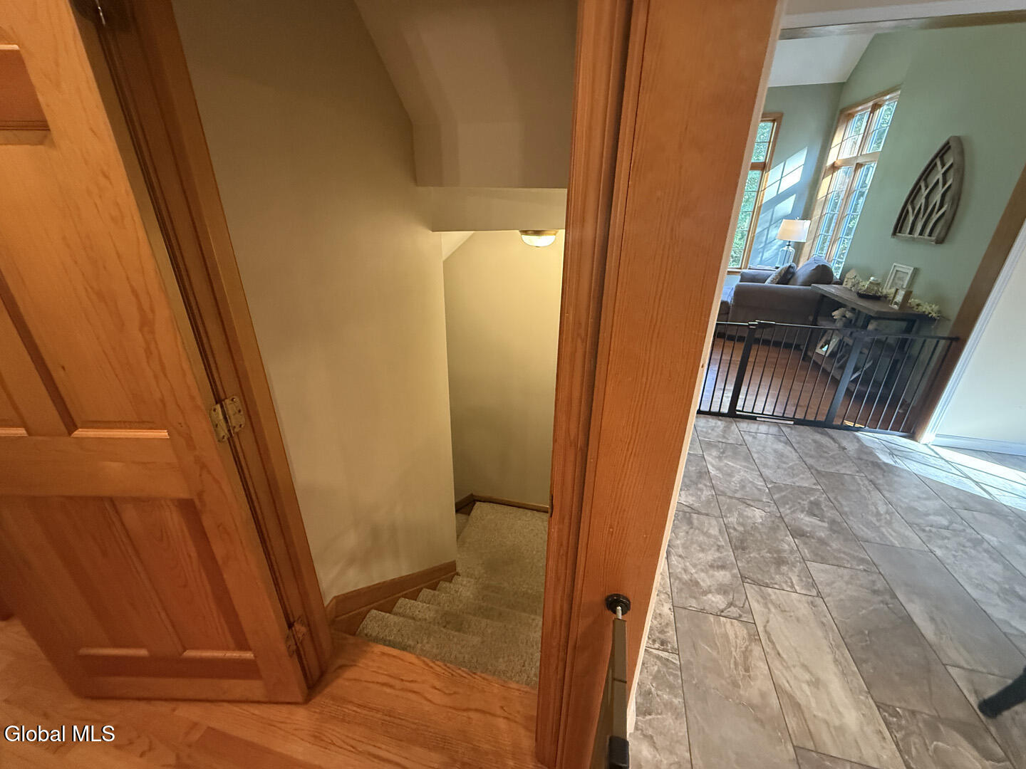 12 Pond Hollow Road Sand Lake, NY 12018 - Photo 22 of 67 Donwstairs