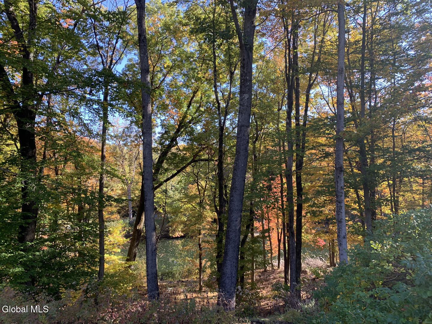 12 Pond Hollow Road Sand Lake, NY 12018 - Photo 57 of 67 Pond