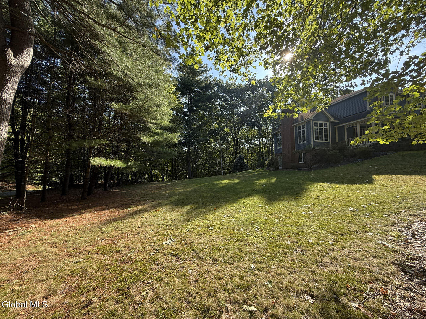 12 Pond Hollow Road Sand Lake, NY 12018 - Photo 64 of 67 Yard4