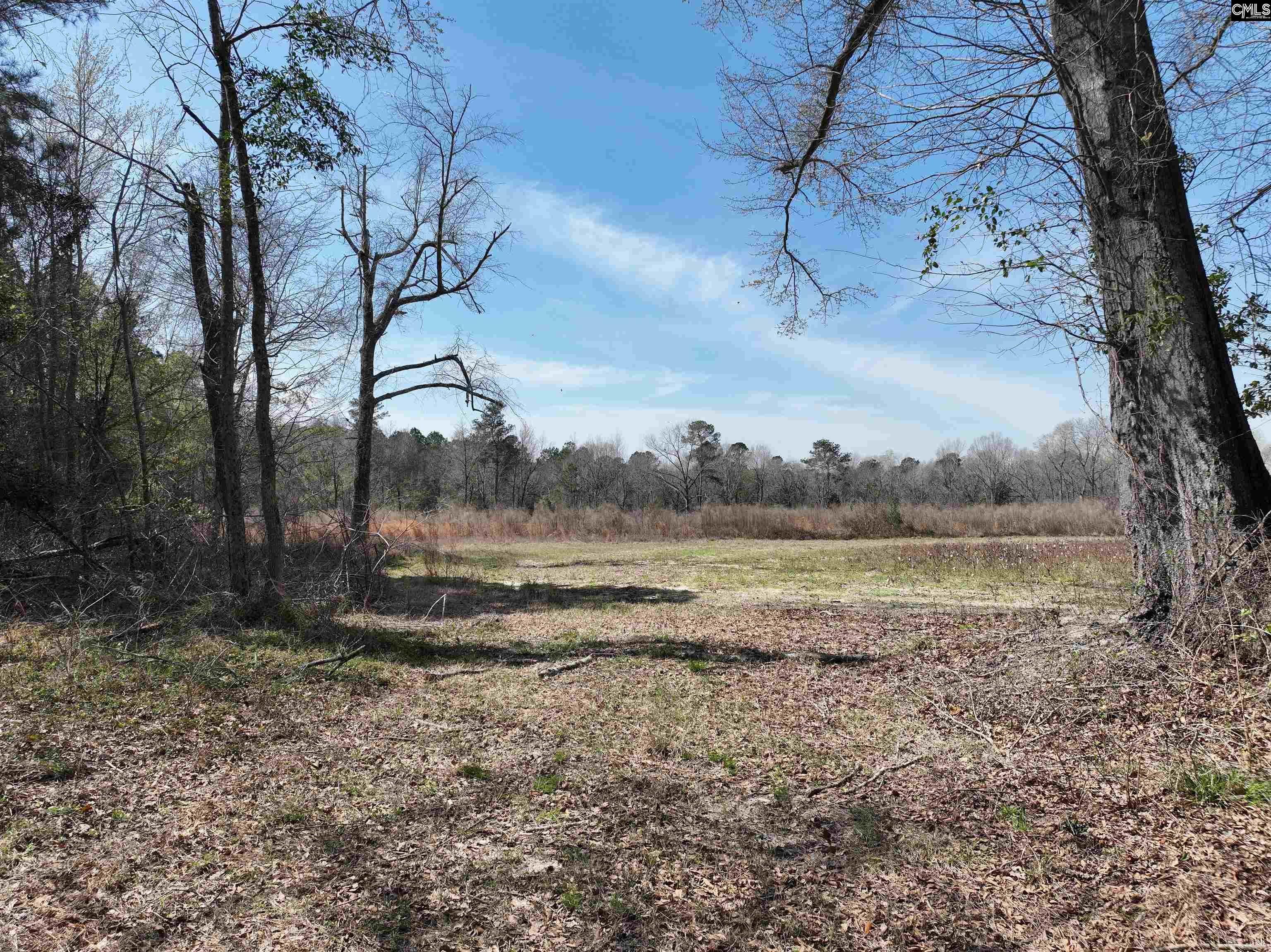 0 Dr Boylston Road Salley, SC 29137 - Photo 9 of 41