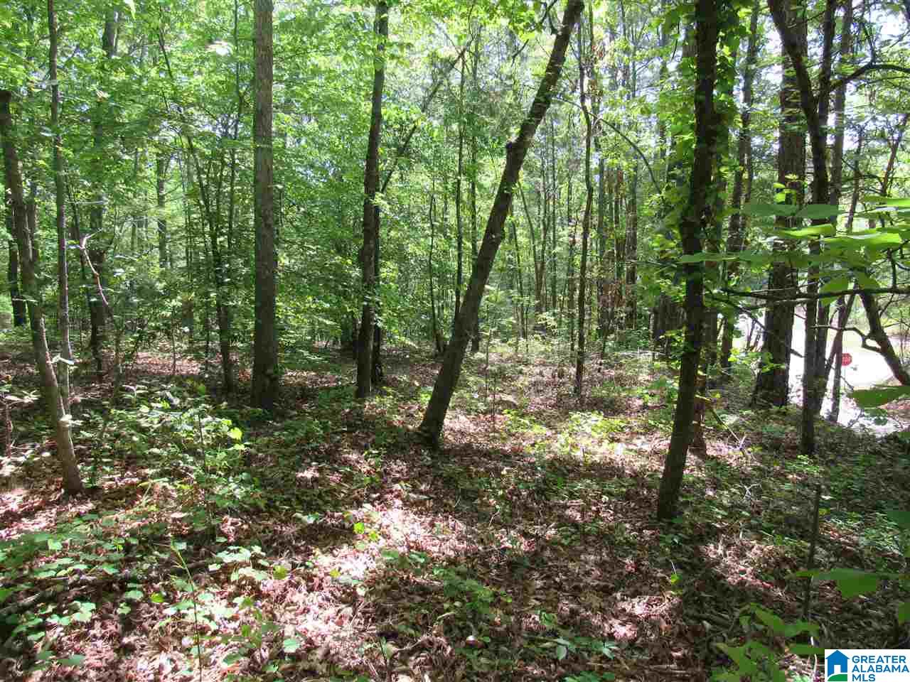 0 County Road 895, Unit 17 ACRES Lineville, AL 36266 - Photo 28 of 30