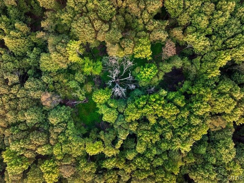 Armstrong Road West Winfield, NY 13491 - Photo 11 of 13