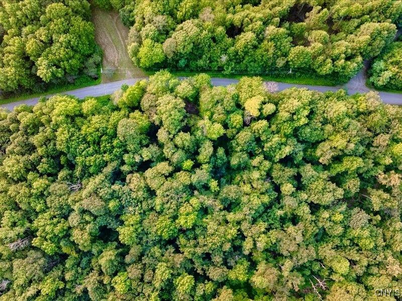 Armstrong Road West Winfield, NY 13491 - Photo 12 of 13