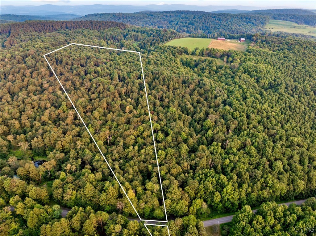 Armstrong Road West Winfield, NY 13491 - Photo 13 of 13