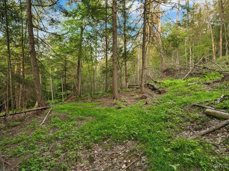 Armstrong Road West Winfield, NY 13491 - Photo 2 of 13