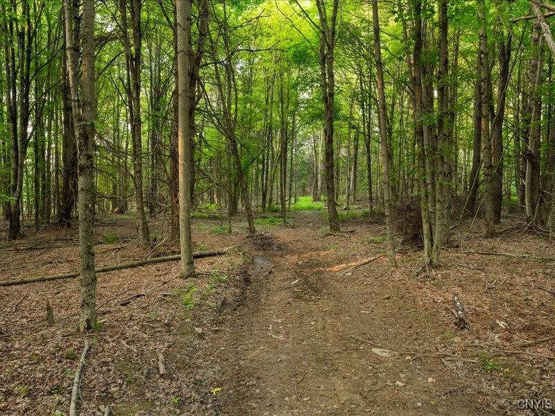 Armstrong Road West Winfield, NY 13491 - Photo 3 of 13