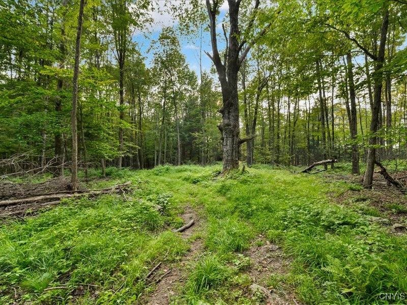 Armstrong Road West Winfield, NY 13491 - Photo 4 of 13