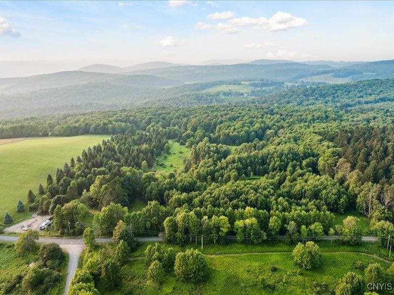 Armstrong Road West Winfield, NY 13491 - Photo 5 of 13