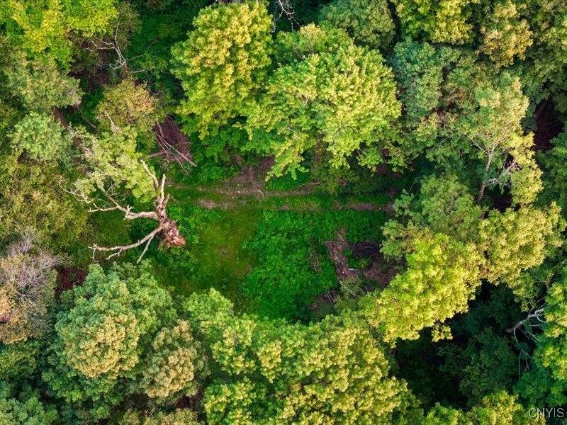 Armstrong Road West Winfield, NY 13491 - Photo 6 of 13