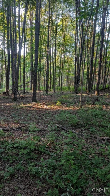 Armstrong Road West Winfield, NY 13491 - Photo 7 of 13