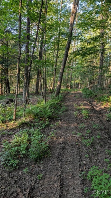 Armstrong Road West Winfield, NY 13491 - Photo 8 of 13