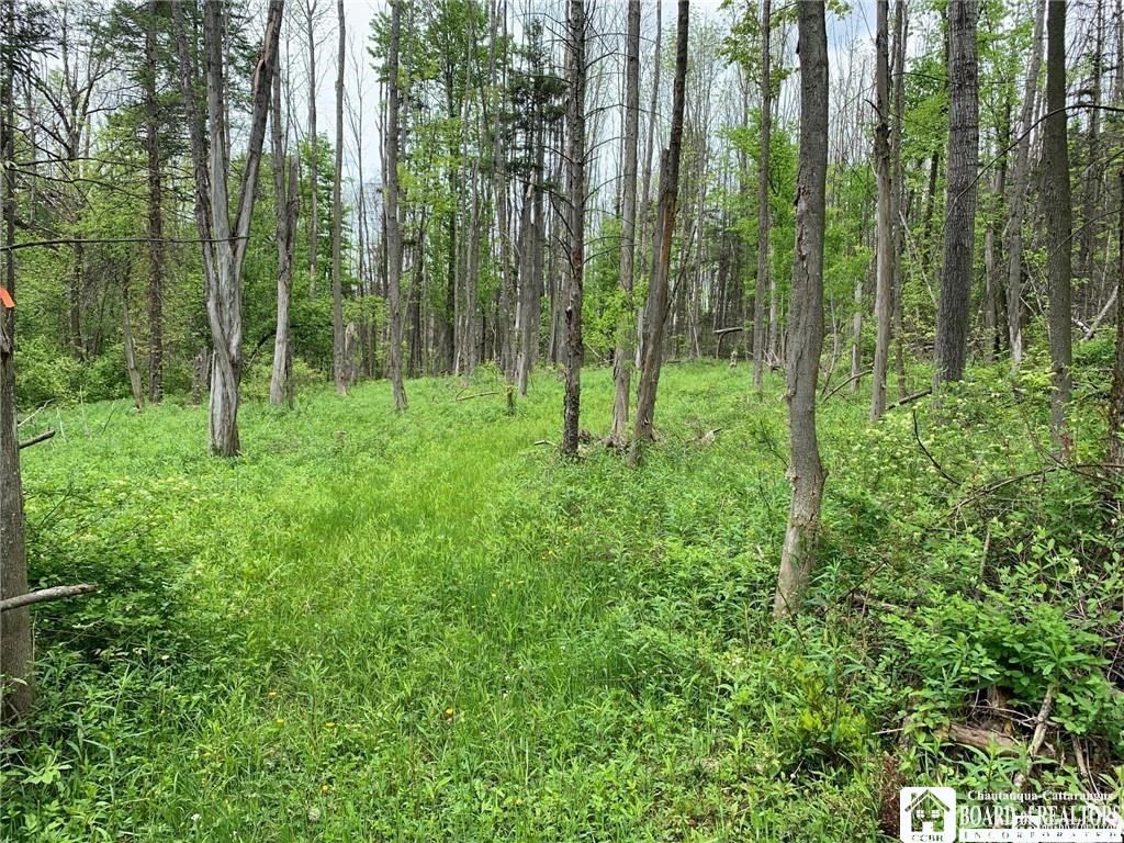 905 Waterman Road Kennedy, NY 14747 - Photo 24 of 35