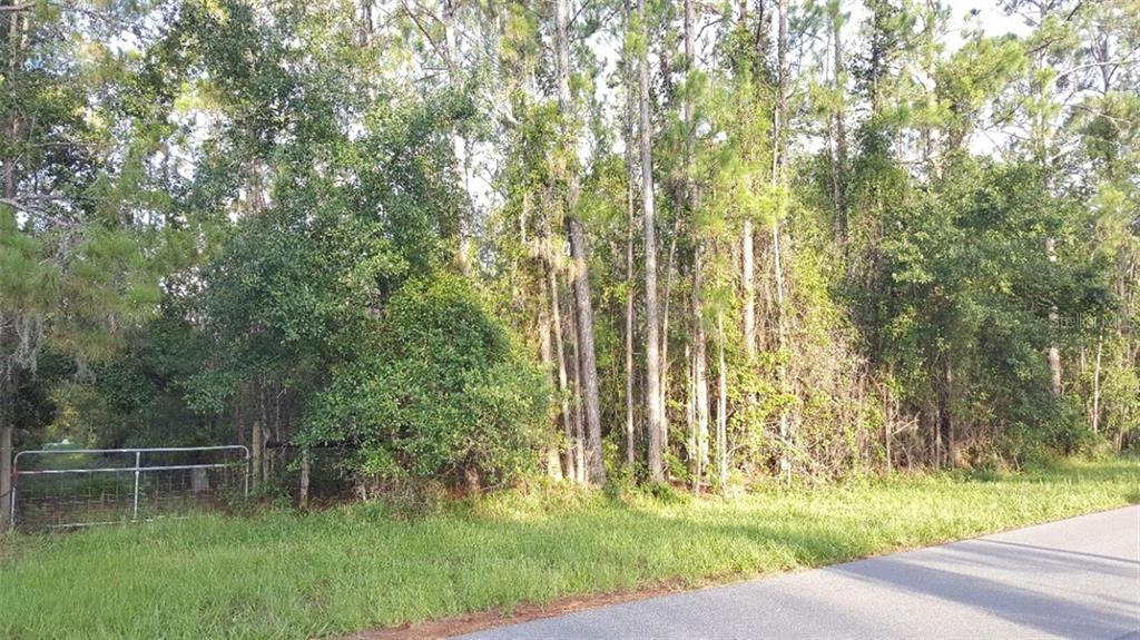 4285 Story Road St. Cloud, FL 34772 - Photo 1 of 1 Front gate.