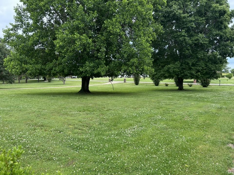 1788 Seavy Hight Road Columbia, TN 38401 - Photo 13 of 33