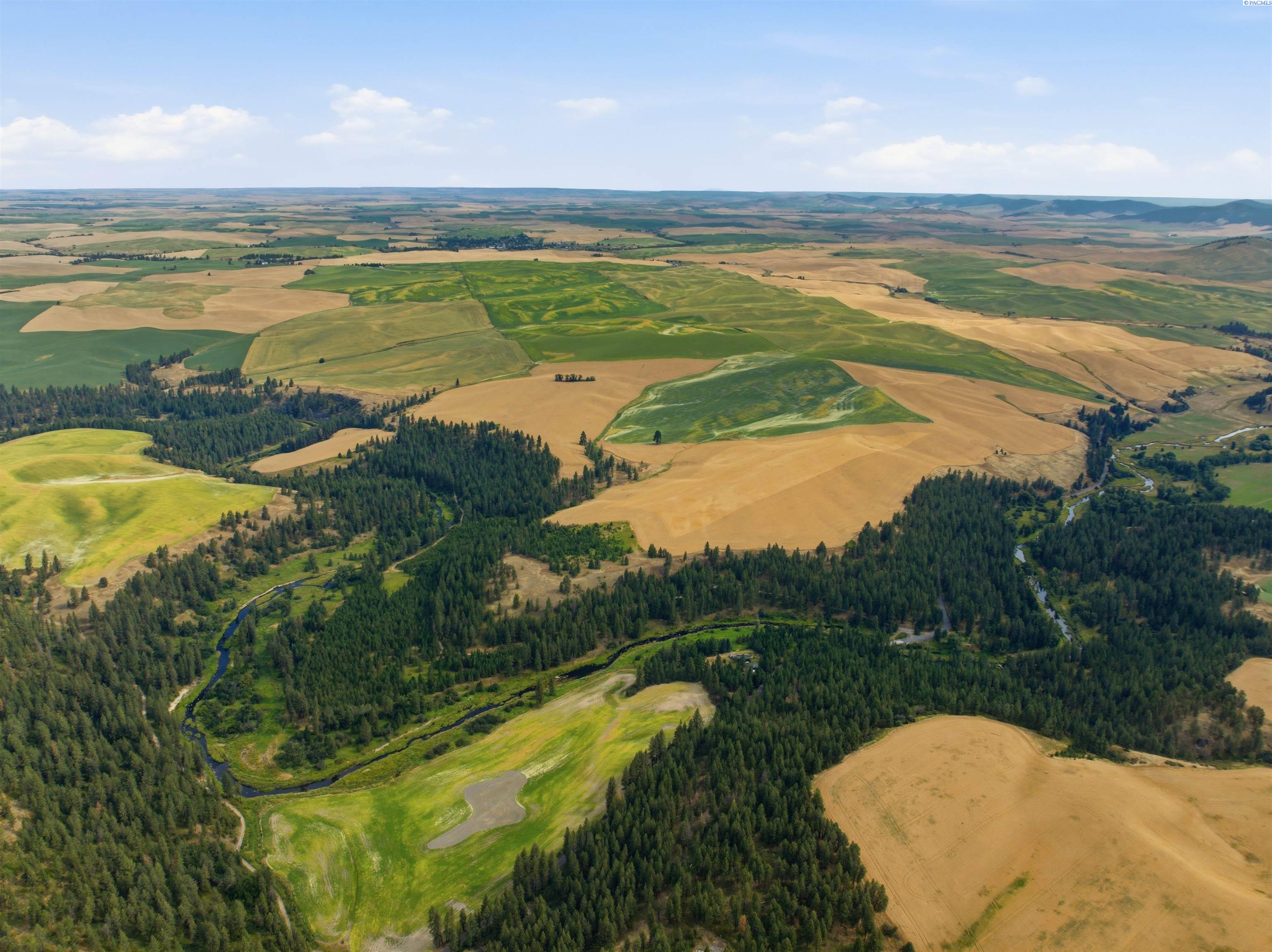 Tbd Altergott Road Palouse, WA 99161 - Photo 5 of 11 Gallery Image 5