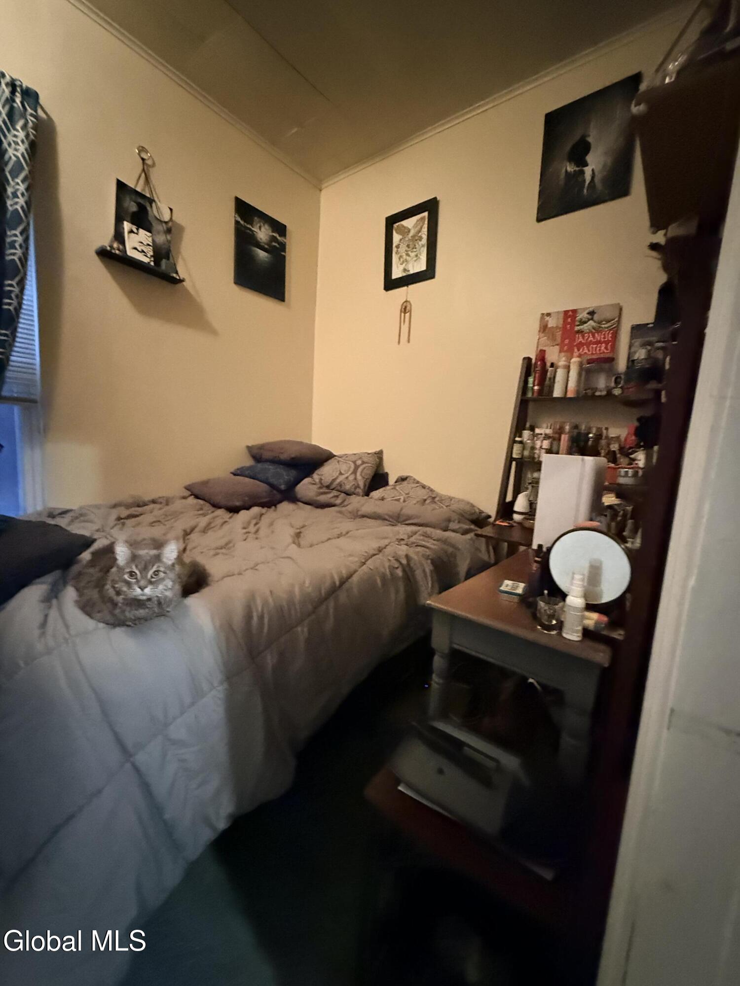 301 2nd Street Troy, NY 12180 - Photo 9 of 27 IMG_2004