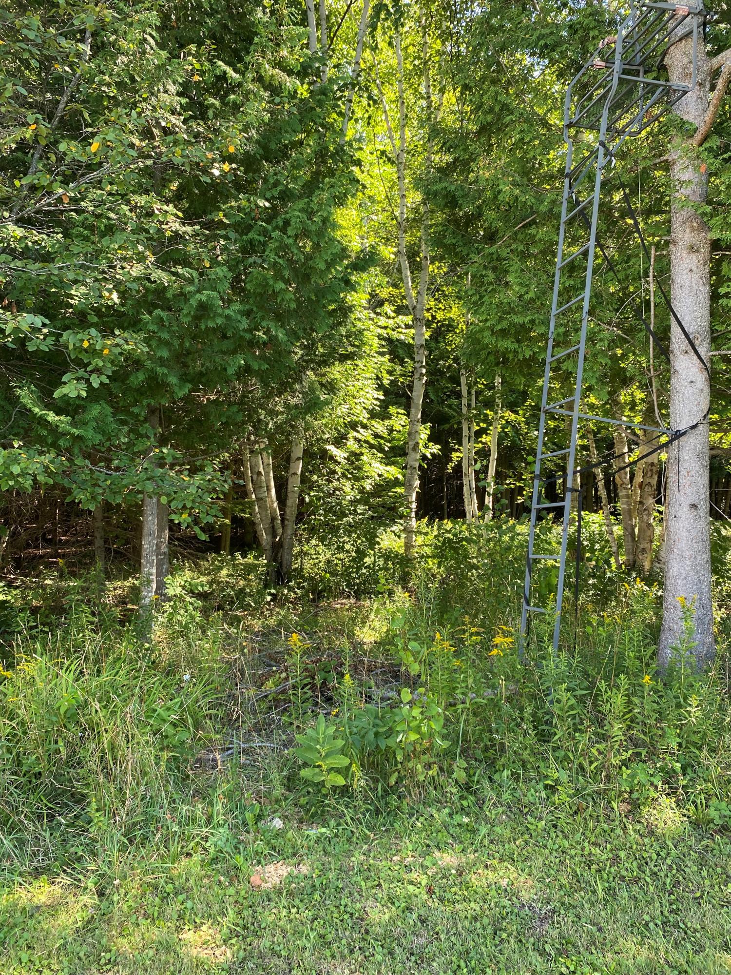 W16496 Mcconnel Road Curtis, MI 49820 - Photo 27 of 33 Gallery Image 27