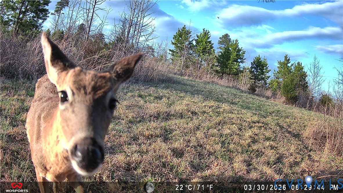 1895 Cemetery Road Chase City, VA 23924 - Photo 82 of 83