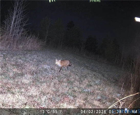 $749,000 | 1895 Cemetery Road, Chase City, VA 23924