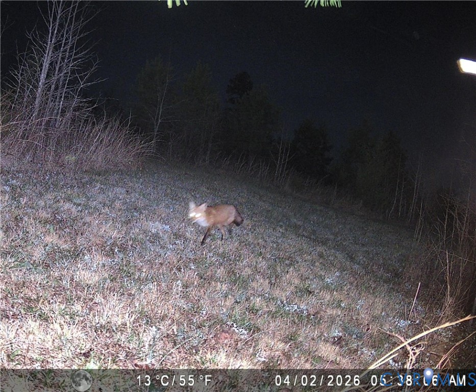 1895 Cemetery Road Chase City, VA 23924 - Photo 83 of 83