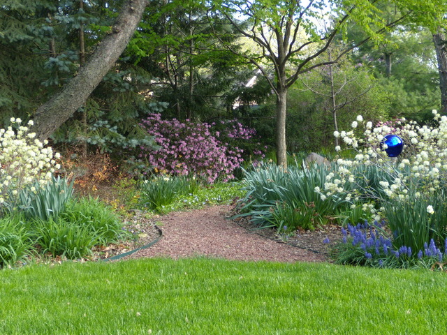 376 Kent Road Riverside, IL 60546 - Photo 22 of 25 a view of a backyard with plants and large trees