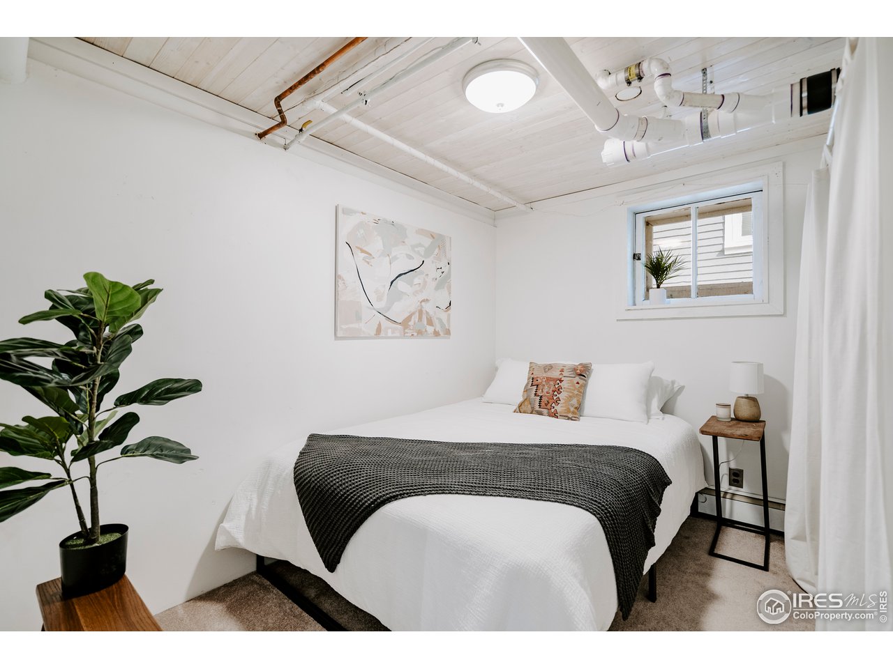 1718 Mapleton Avenue Boulder, CO 80302 - Photo 37 of 40 a bedroom with a bed and a potted plant