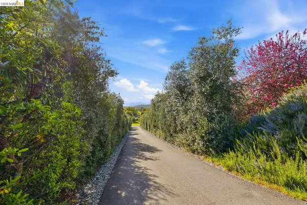 a view of a pathway with a yard