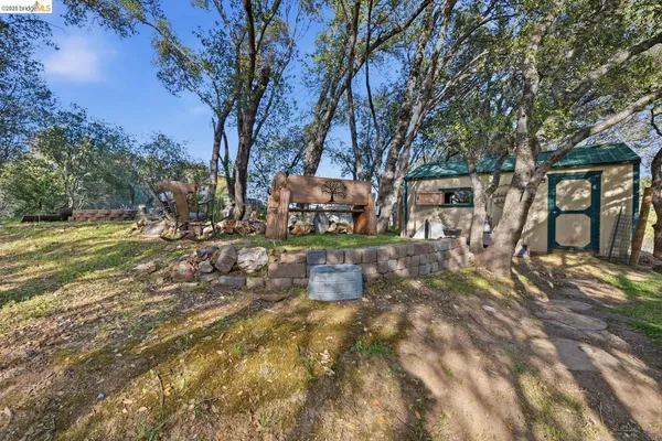 a view of a yard with plants and trees