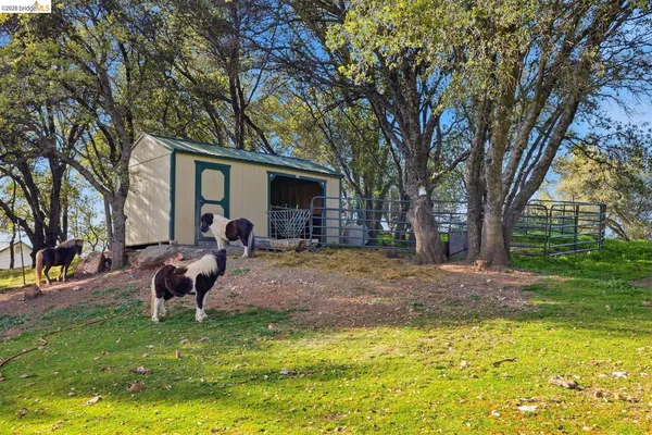 a view of a backyard with a table and chairs and a fire pit