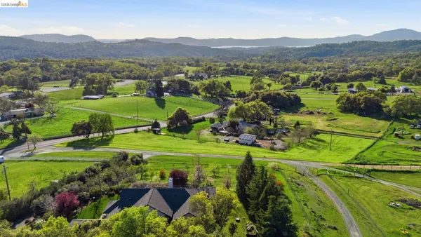 a view of a garden with a house in the background