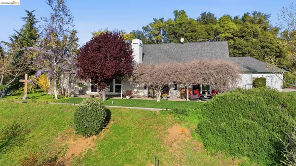 a view of a garden with an outdoor seating
