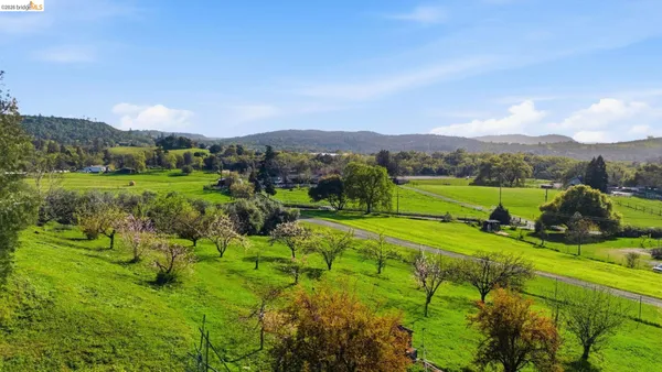 a view of a back yard