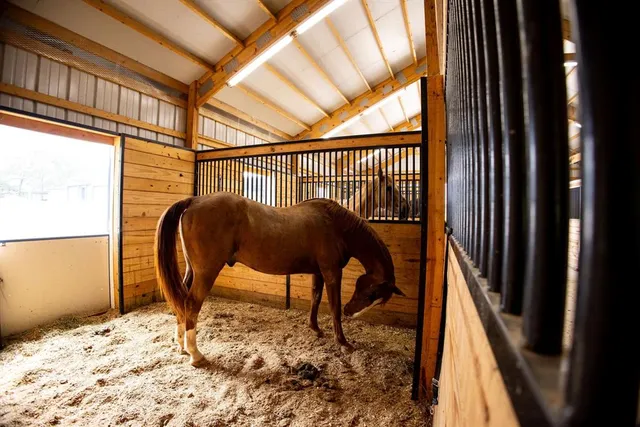 a view of a interior of the house