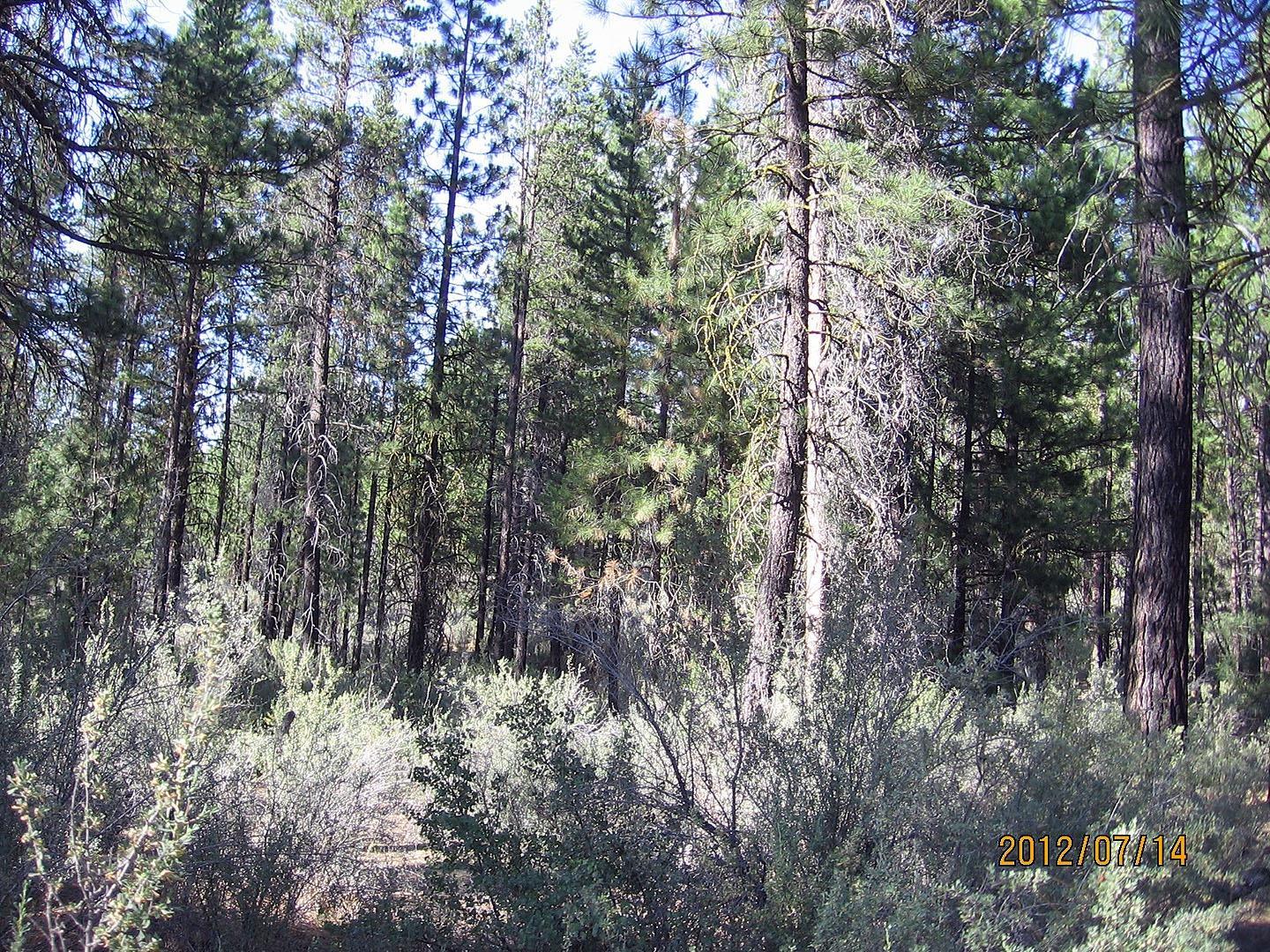 3700 Outpost Road Chiloquin, OR 97624 - Photo 1 of 8 Primary Photo