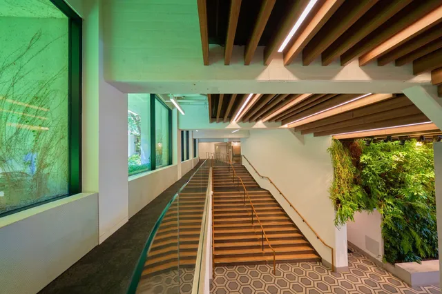 a wooden bench sitting in the middle of a field