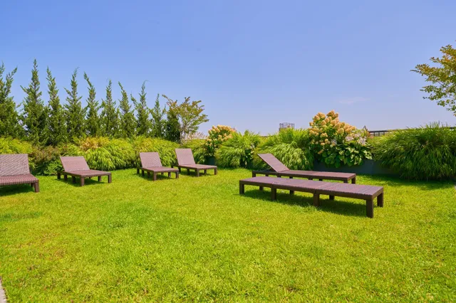 a view of a living room with furniture and a rug